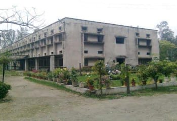 D.N Polytechnic