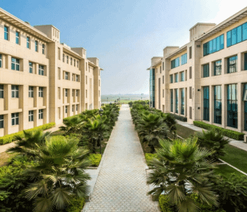 School of Management and Entrepreneurship- Shiv Nadar University